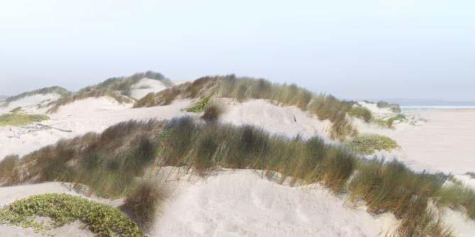 owners will continue to be able to recreate at the seaward crest of the restored dunes. A conceptual rendering of the Project is shown in Figure 5-6.