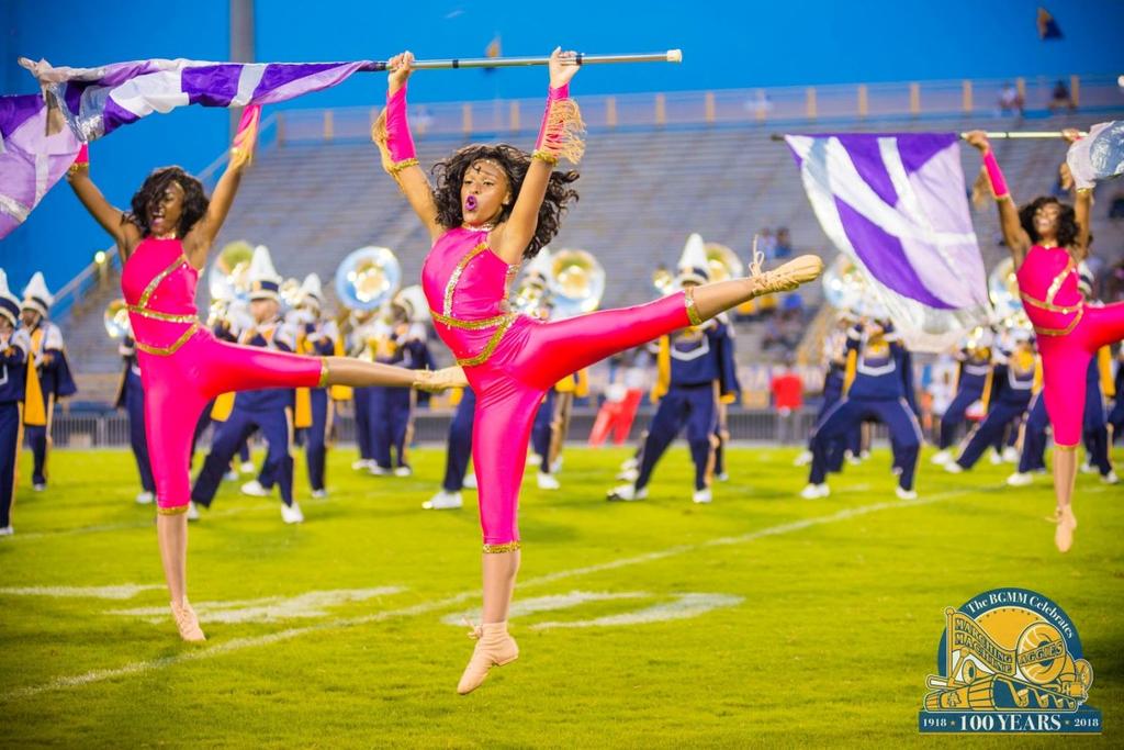 SWEETHEARTS OF THE MEAC Golden Delight is a performance ensemble that is a component of the NC A&T State University Marching Band. The ladies are selected through an intense audition process.