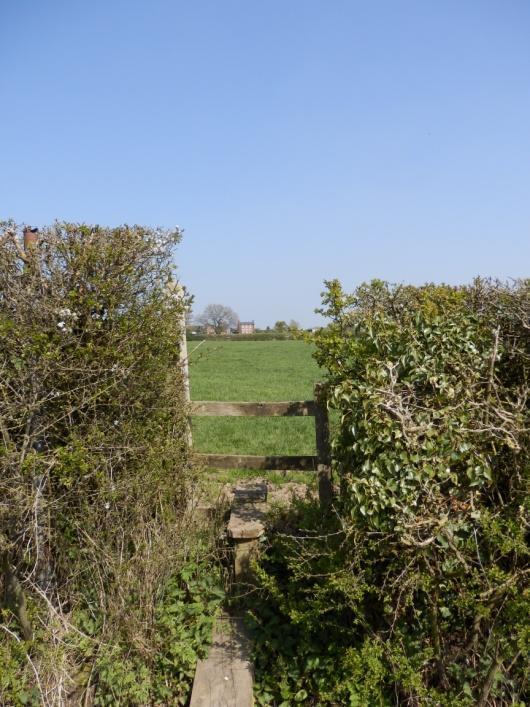 Once over this stile and bridge go straight across the next field, passing to the left of a