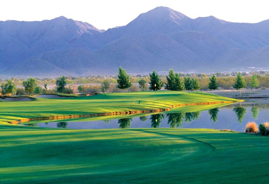 The surrounding mountains and century-old saguaro cacti as well as 108 sand bunkers provide a spectacular setting for guests.