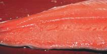 Non-bled salmon
