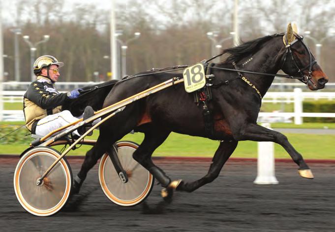 Nils was recommended to purchase the raced-out trotting mare Västerbo Apple, who was not supposed to be a broodmare.