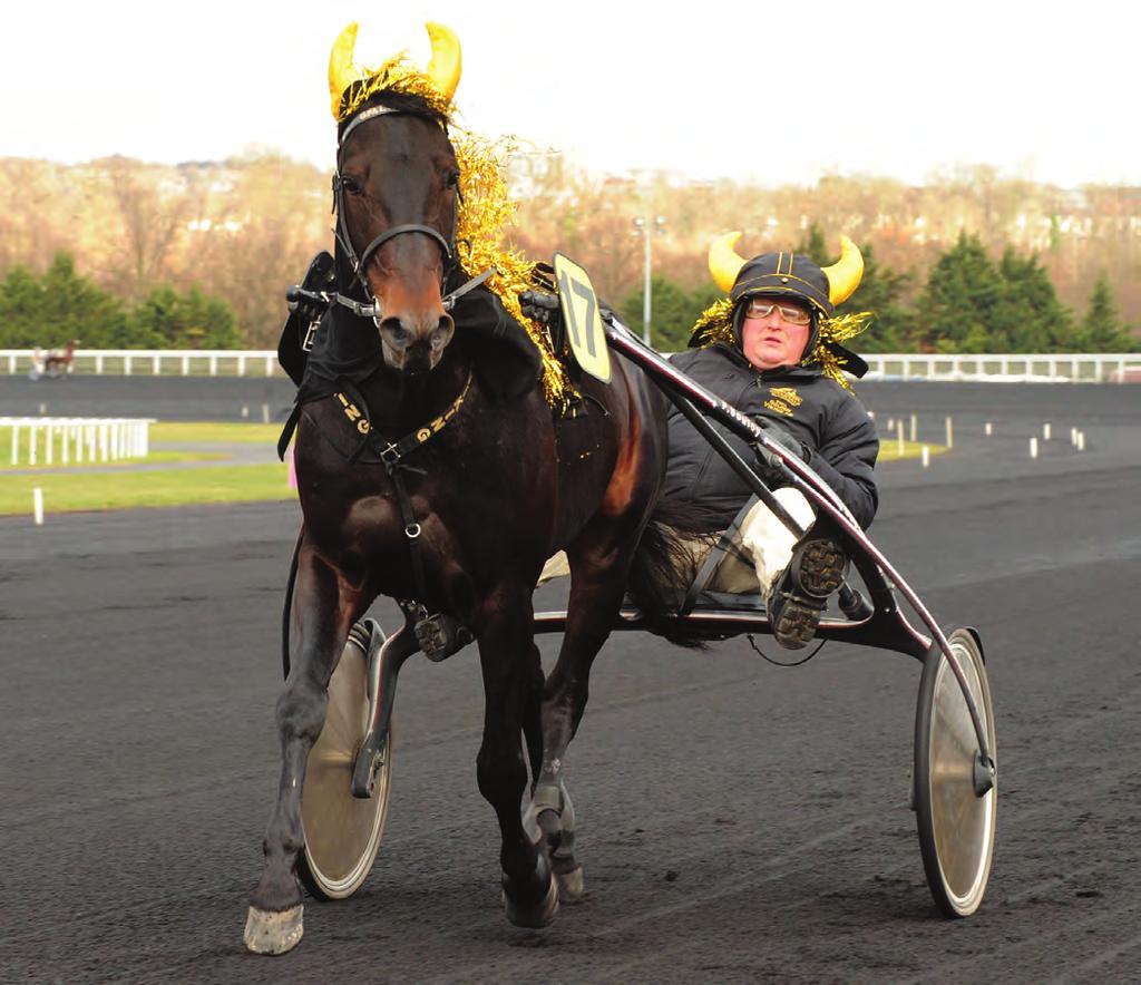 THE EUROPEAN VIEW ~ By Klaus Koch Nils Enqvist, who became involved in Standardbred racing through a fluke, drives his star performer with his famous golden glitter.