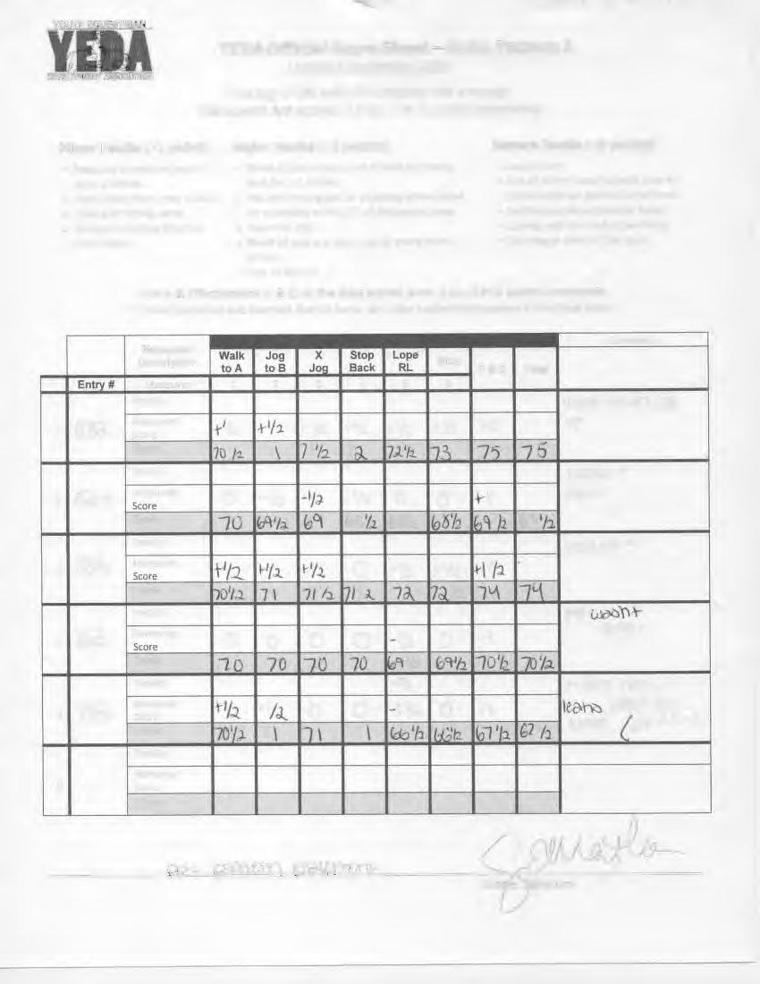VEDA Official Sheet- Ruby Pattern Updated September 018 Scoring 0-100 with 0 denoting the average.