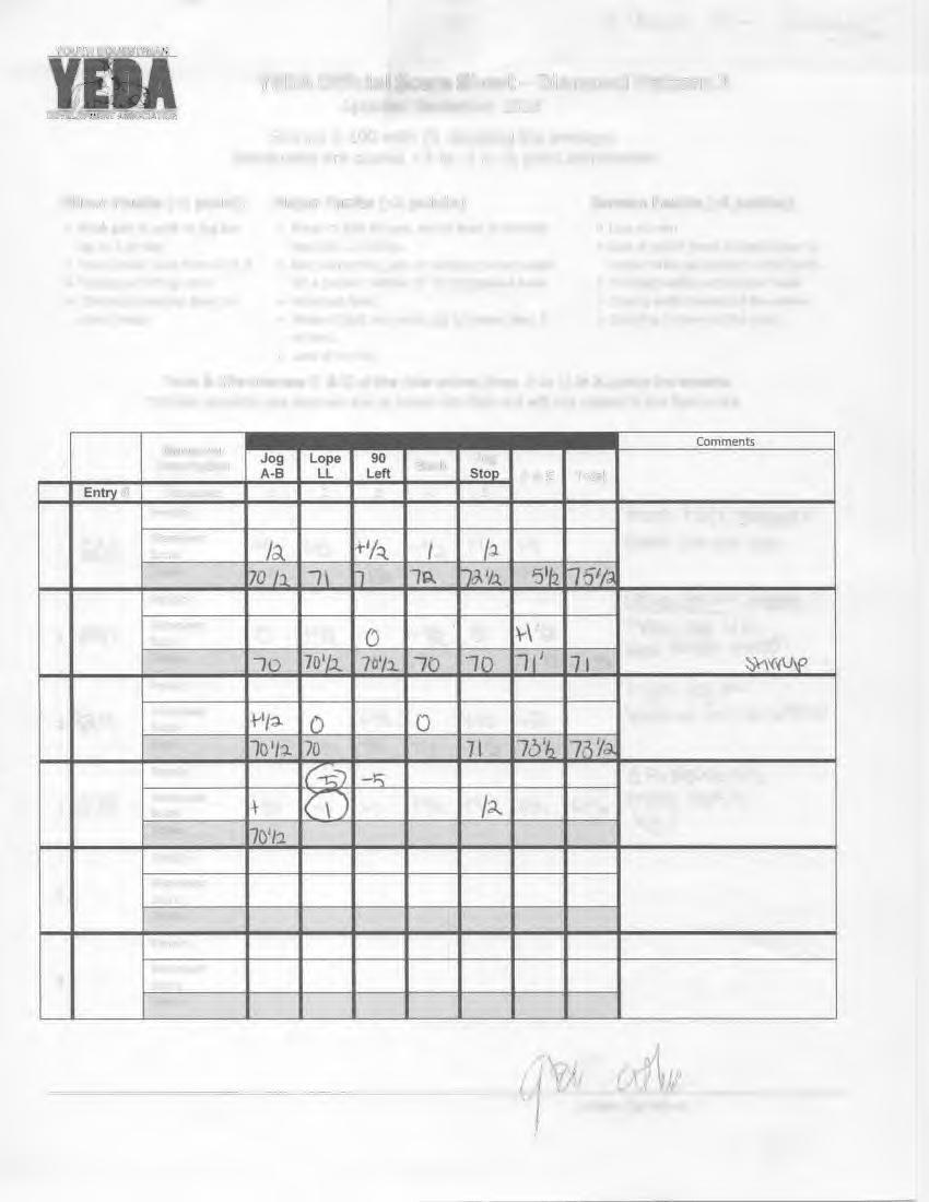 VEDA Official Sheet- Diamond Pattern Updated September 018 Scoring 0-100 with 0 denoting the average.