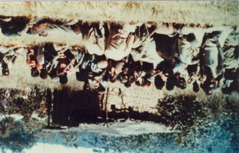 7C-11 Prisoners, including women
