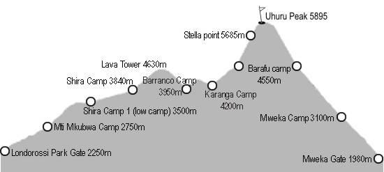 Total hiking distance about km (around 62 km to the summit & 38 km back down) Day one on the Kilimanjaro Lemosho route itinerary Travel day to Moshi in Tanzania The first day of your itinerary will
