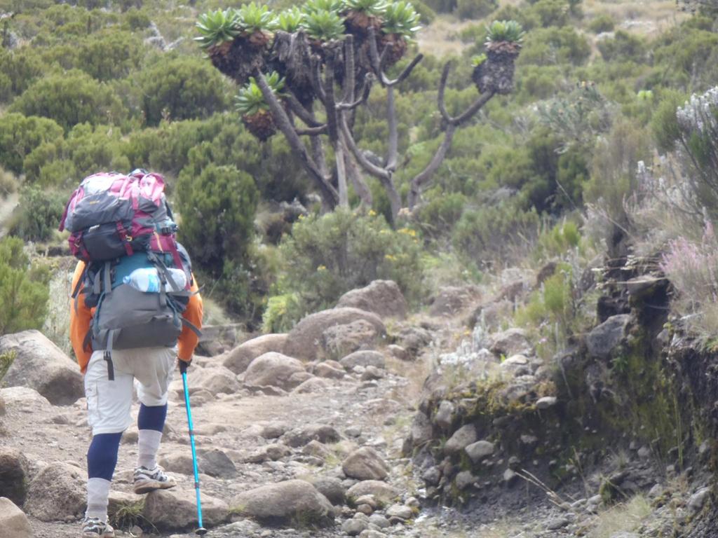 This is a picture of Mahamed as we trek upwards on Kilimanjaro. He is carrying his own gear, along with my backpack! Halfway through each day, he would say, Mama, give me your backpack.