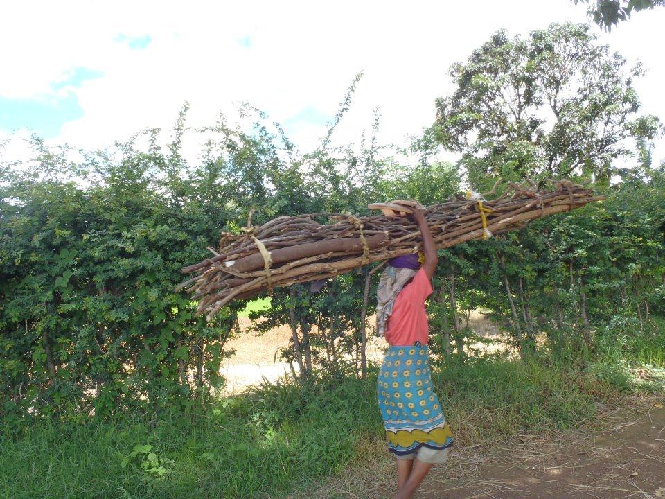 Two days before our climb, we took a nature hike through a jungle near our hotel. This woman was coming out of the jungle carrying this load of wood on her head!