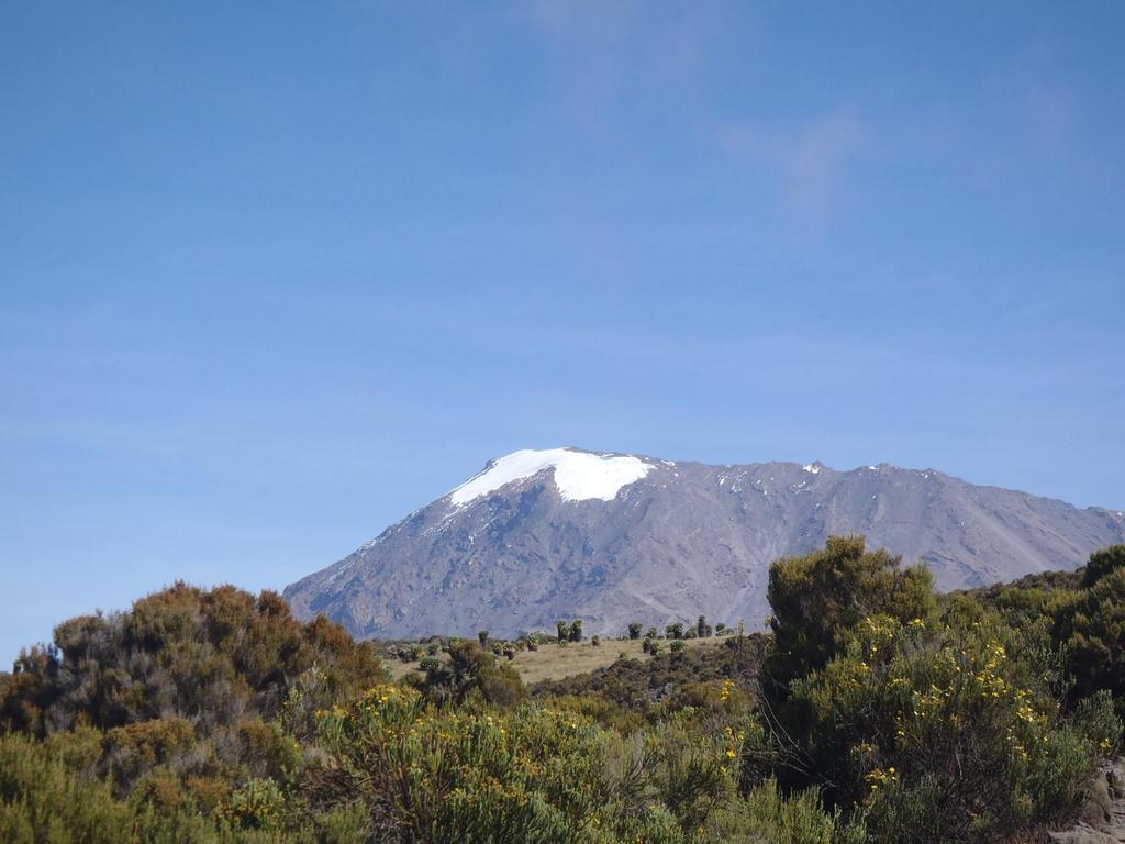 In June 2011, I was given the opportunity to climb Mt. Kilimanjaro, Africa s highest mountain and the highest free standing mountain the world. Mt. Kilimanjaro towers above Moshi, Tanzania at 19,340 feet above sea level.