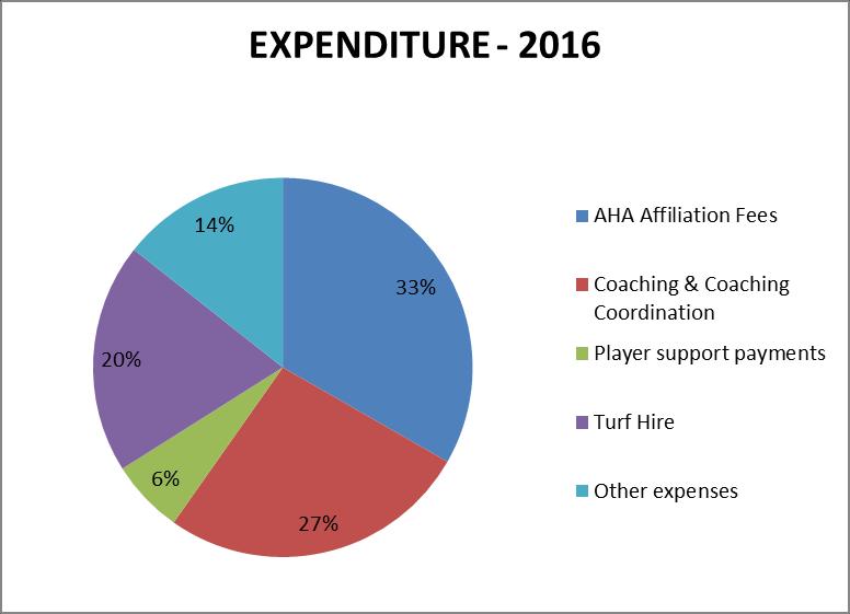 Expenditure for 2015 year