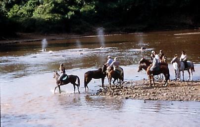 [2] Riding Safaris usually include about 6 hours in the saddle each day, either riding from camp to camp, with rest stops en-route to watch the abundant game, for refreshments and a picnic lunch, or