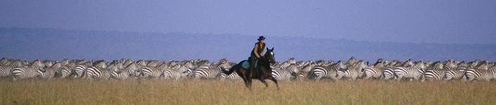 [3] Game For those who wish to see game when riding, these safaris are one of the best to choose.
