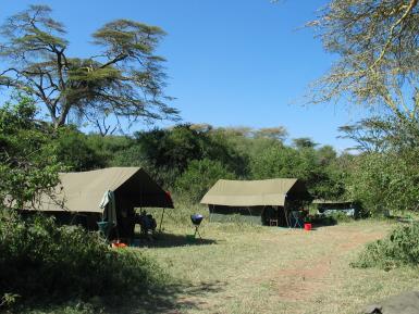 [4] Accommodation Accommodation on safari is in a private tented camp set up especially for the group.