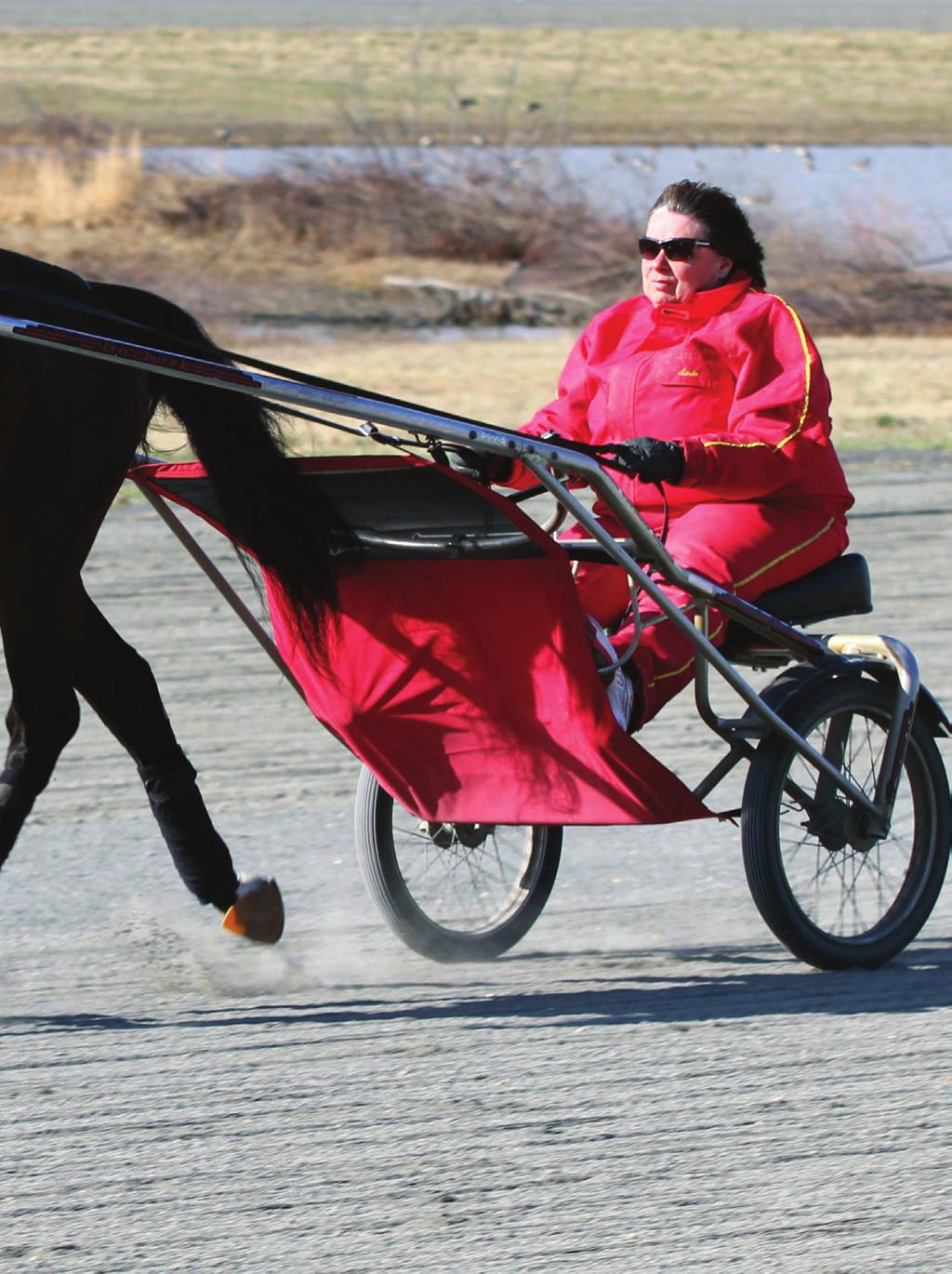 Hambletonian-level horses don t come along every day, even for the best trainers in the sport, so Linda Toscano is already savouring the fact this Spring that she may be training back her first ever