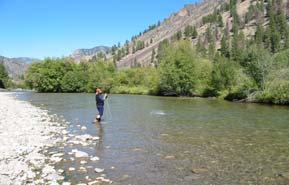 Management Plan for Conservation of Yellowstone Cutthroat Trout in Idaho Management Actions What
