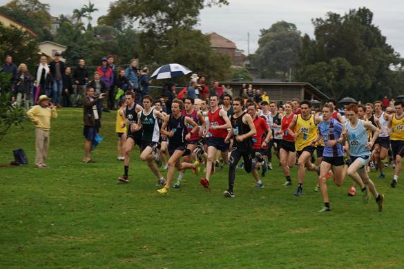 CROSS COUNTRY THE TRINITY RELAYS 18/6/2016, Ewen Park, Hurlstone Park The 19th Trinity Relays looked to be in considerable doubt with some last minute jitters at the hands