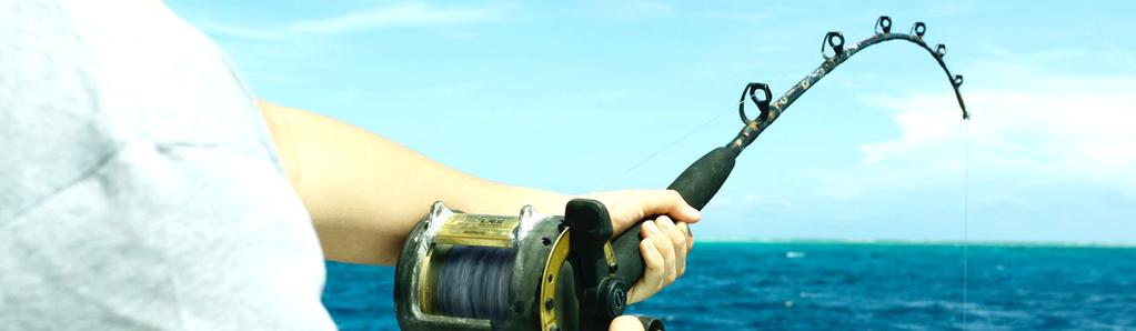 Fishing Pamalican s marine environment has been declared a protected area. As such, only troll and bottom fishing are permitted. Fish for snappers, groupers, wahoo, tuna, and mackerel.