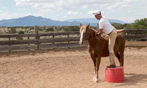 20 HORSE AROUND Nov/Dec 2018 www.horsearoundnm.com Queenie was a rescue at Four Corners Equine Rescue, was adopted out, then returned.
