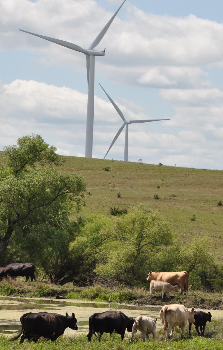 List of Figures Rolling Hills Wind Project, Iowa Photo: Debra Preitkis-Jones, AWEA Figure 1 Overview of Renewable Portfolio Standards Figure 2 Electricity Generation Subject to RPS Figure 3 Effective