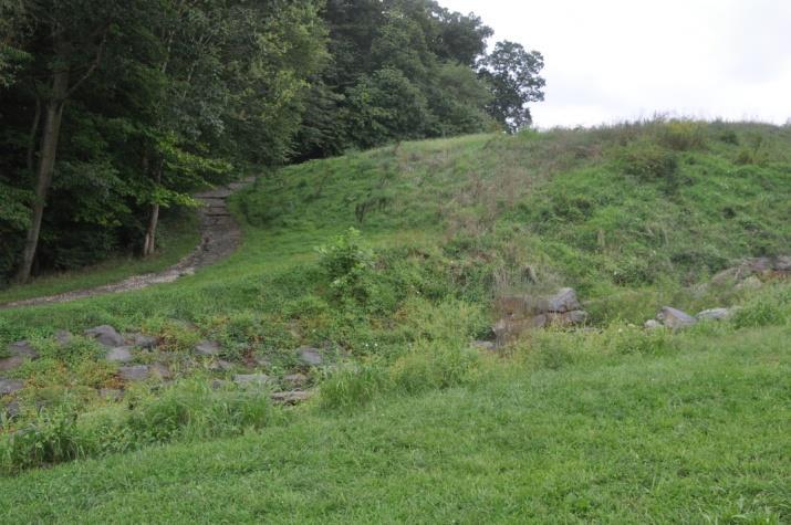 The site of the incident was a slope at a municipal park, shown in Figure 2.