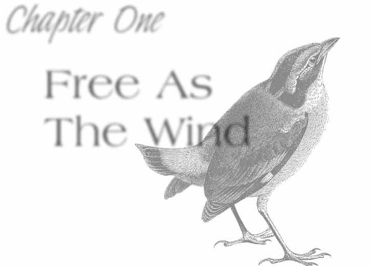 Chapter One Free As The Wind As a boy I was fond of everything that was wild. And all my life I ve grown fonder and fonder of wild places and wild creatures.