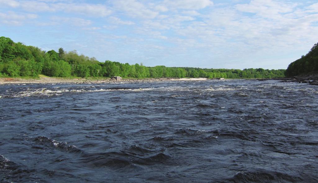 1 Ducktrap River 2 North Branch Marsh Stream 3 Souadabscook Stream 4 Bangor Dam 5 Penobscot River 6