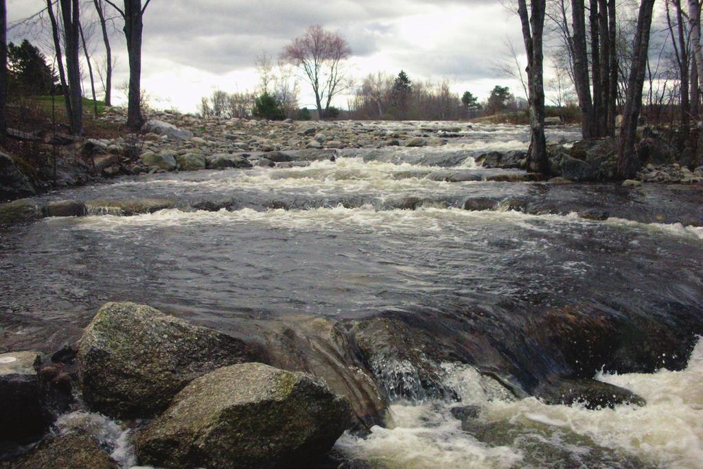 Location Year completed Type Species Mattamiscontis Lake pool-and-weir Penobscot territory 2015 Stream Smart