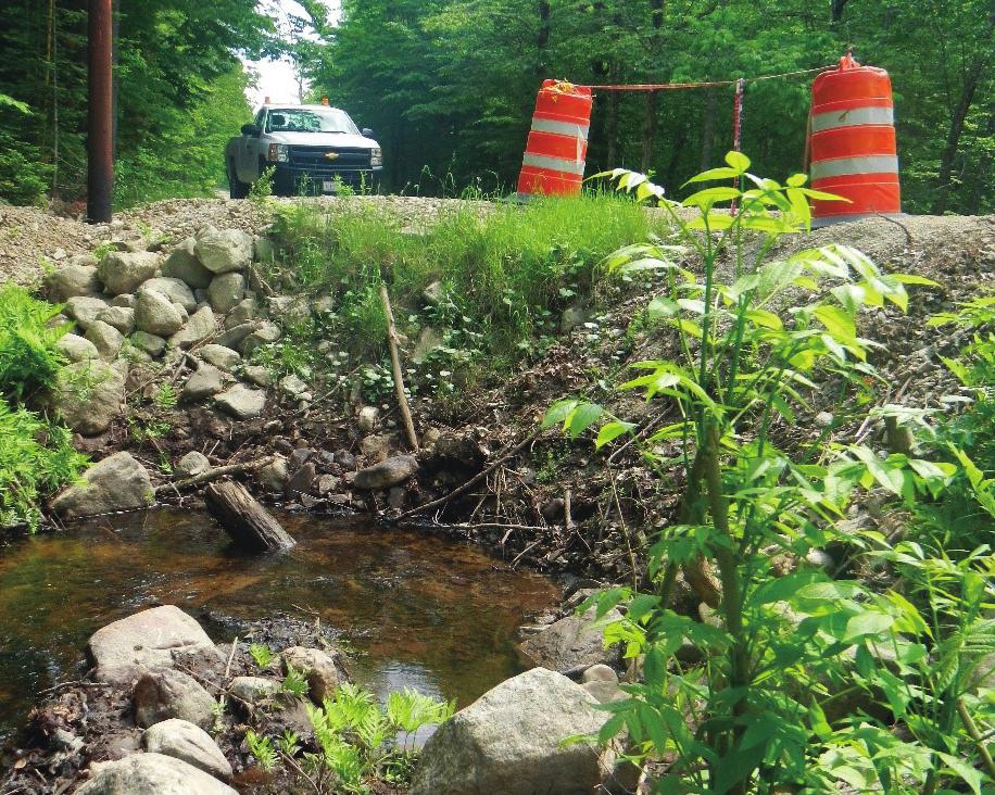 It s not just about fish There are many reasons why so many people and organizations are working to connect rivers and restore free-flowing stream habitat: Improving water quality.
