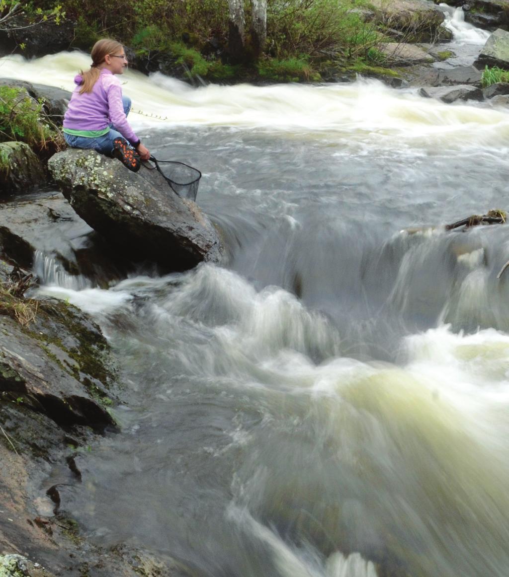 restoring streams has many benefits Celebrating history and preserving local heritage.