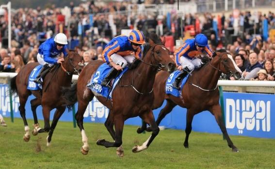 NEWSLETTER, MONDAY 10 OCTOBER 2016 The David Allan Column The Dewhurst Diaries and a Coronation Derby Churchill (nearest camera), winning Saturday s Gr1 Dewhurst Stakes.
