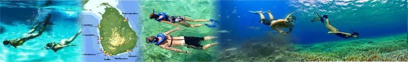 Snorkeling You may find large natural bay shielded by a shallow coral reef Visitors may find great shallow reef to snorkel also rock formation undersea This coral reef you may fine many endemic