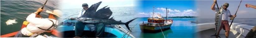 This is one of other adventure activity that guests can involve You can use boat fishing, under water fishing, are some of activities you may attained You may find very skillful persons for this task