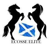 ECOSSE ELITE TROPHY This trophy will be awarded to the horse or pony from a Scottish breed which achieves the most points throughout our showing season, with double points being awarded at our Summer