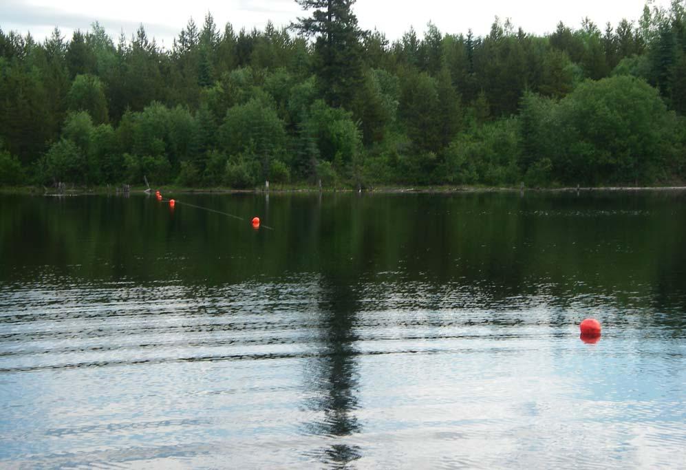 Executive Summary Tebbutt Lake 2006 A stocking assessment was conducted at Tebbutt Lake on June 16, 2006. This was the first assessment completed since the inception of stocking in 1993.
