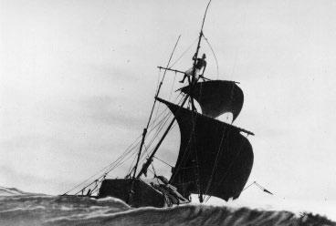 Kon-Tiki and its crew faced danger far out in the Pacific. Adventures at Sea During their journey, the Kon-Tiki crew had at least one brush with disaster. Far out at sea, they spotted a whale shark.