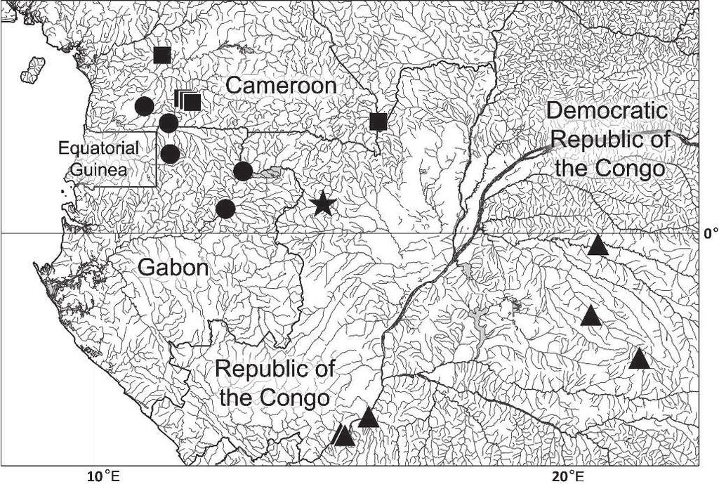 Jerep and Vari Nannocharax hastatus from Congo basin 47 Fig. 2.