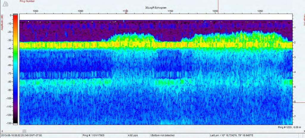 4 Acoustic data 30 log R echogram view on a seafloor