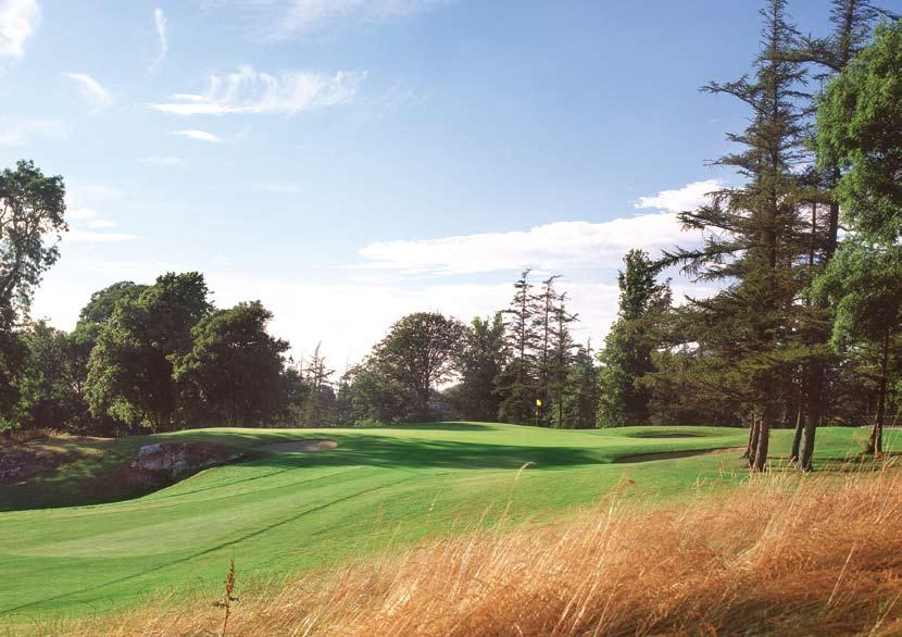 The O Meara Course winds its leisurely way through acres of glorious pastures amongst the dappled shade of