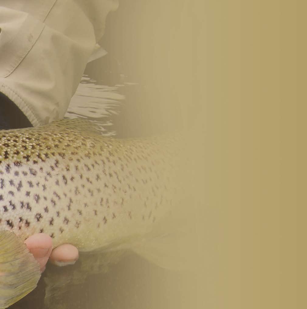 covers a number of ranges that are applicable to today s diverse angling requirements.
