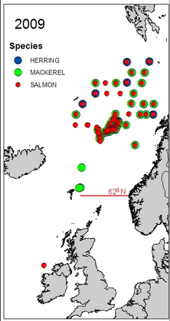 Figure 4. Location of trawl sampling stations in 2009.