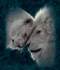 #57-5964-0901, Tote #97-5964 White Lions Love