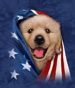 Patriotic Golden Pup Available on: Adult