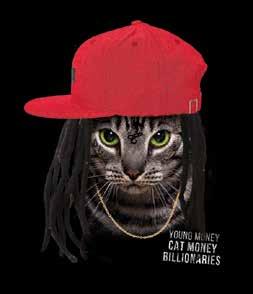 Billionaires Available on: Adult #10-5966 Kitten