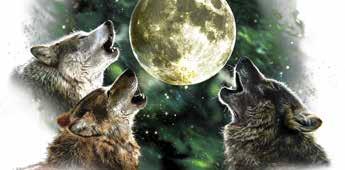 Three Wolf