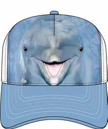 Dolphin Face  #76-3650,