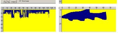 the fish (up/down) -number of fish passing -diagrams showing the information by day, week, month or year Examples