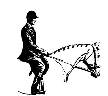 SECTION D RIDER'S POSITION 1. The rider should have a workmanlike appearance. The seat and hands should be light and supple.
