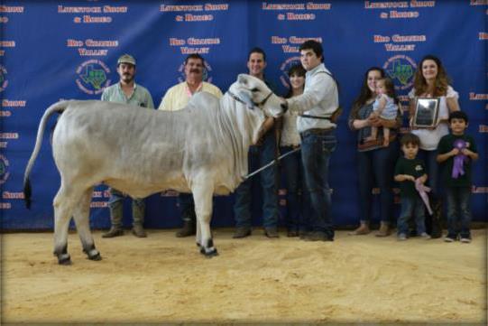 m., Sunday, March 17 The Rio Grande Valley Livestock Show will provide Premiums for this Division based on Premium Schedule on page 189. There will be two Jr.