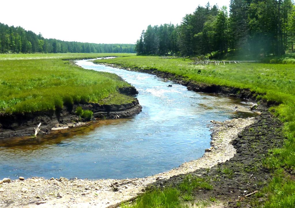 Rebirth of the Pigeon River Song of the Morning Dam Removal June 2015: A new channel has formed in the